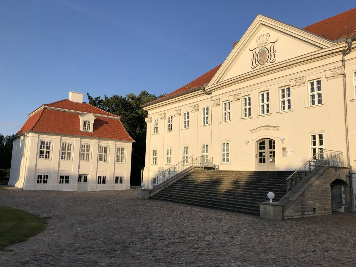Am Waldessaum Bei Hohenzieritz